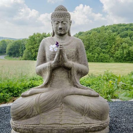 达斯哈德博格住宿加早餐旅馆 Birkenau 外观 照片